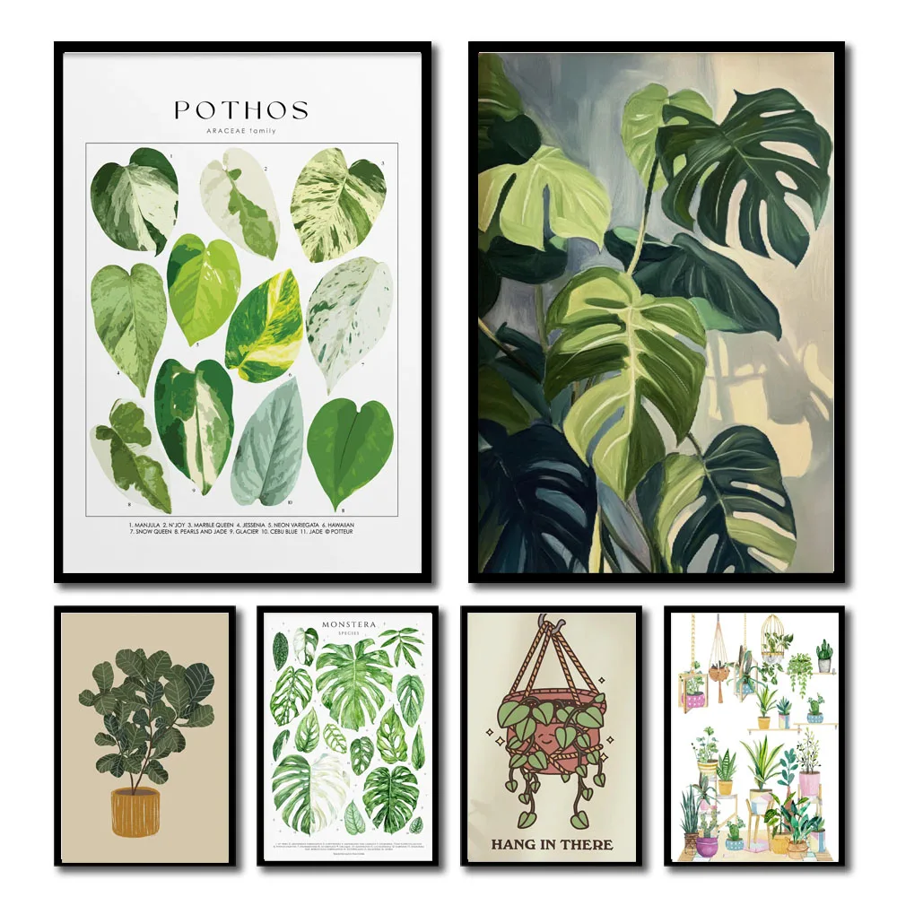 1pc Modern Houseplants Leaves  - Photography Pose บทวิจารณ์และราคา