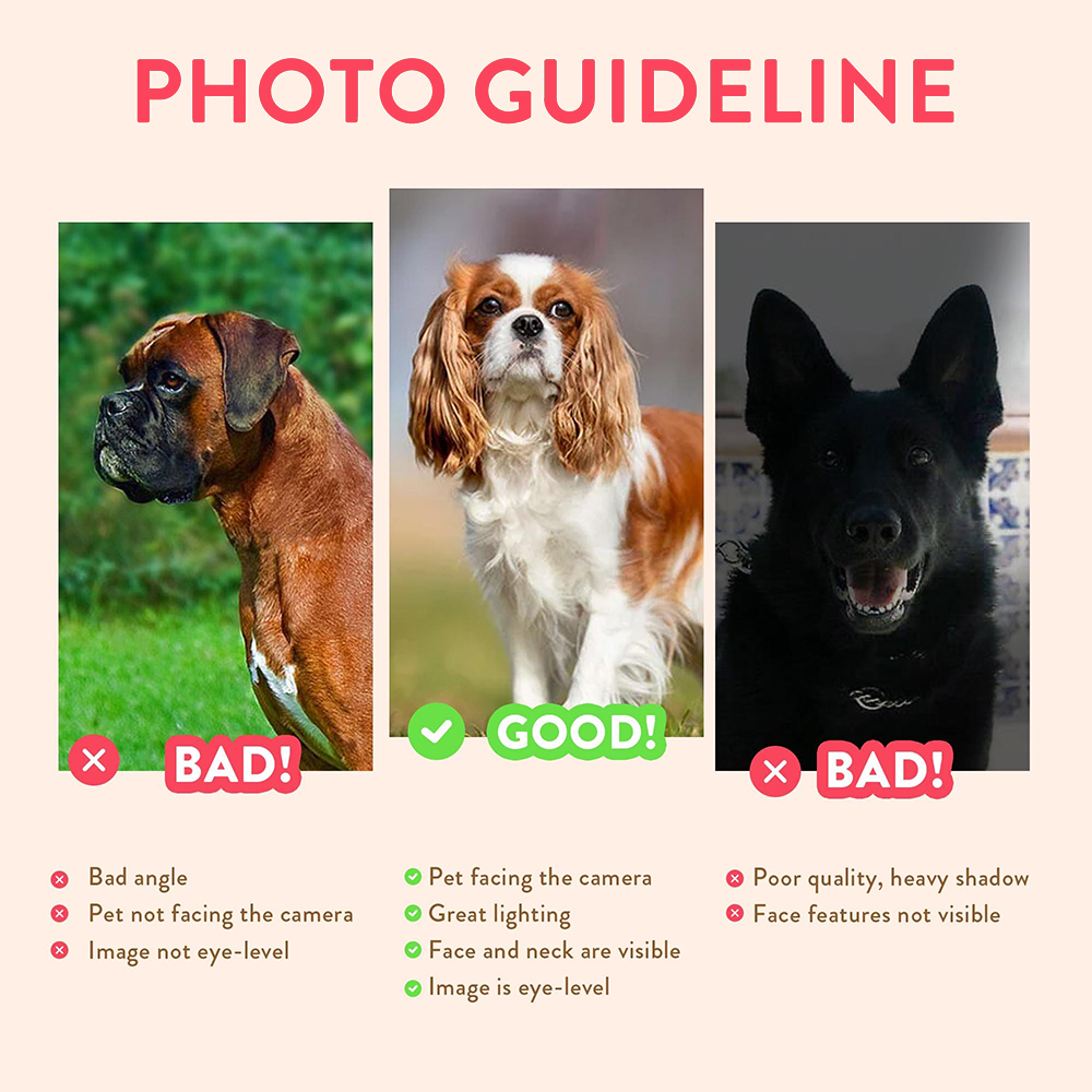 Personalized Pet Portraits Pho - Photography Object บทวิจารณ์และราคา