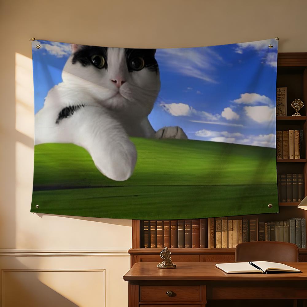 Interesting Cat Photography Fl - Photography Interest บทวิจารณ์และราคา