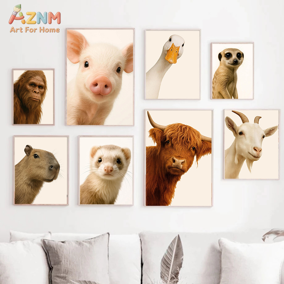 Interesting And Humorous Anima - Photography Interest บทวิจารณ์และราคา