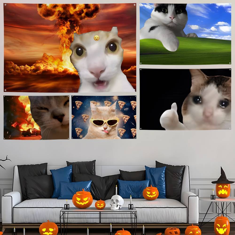 Interesting cat photography Fl - Photography Interest บทวิจารณ์และราคา