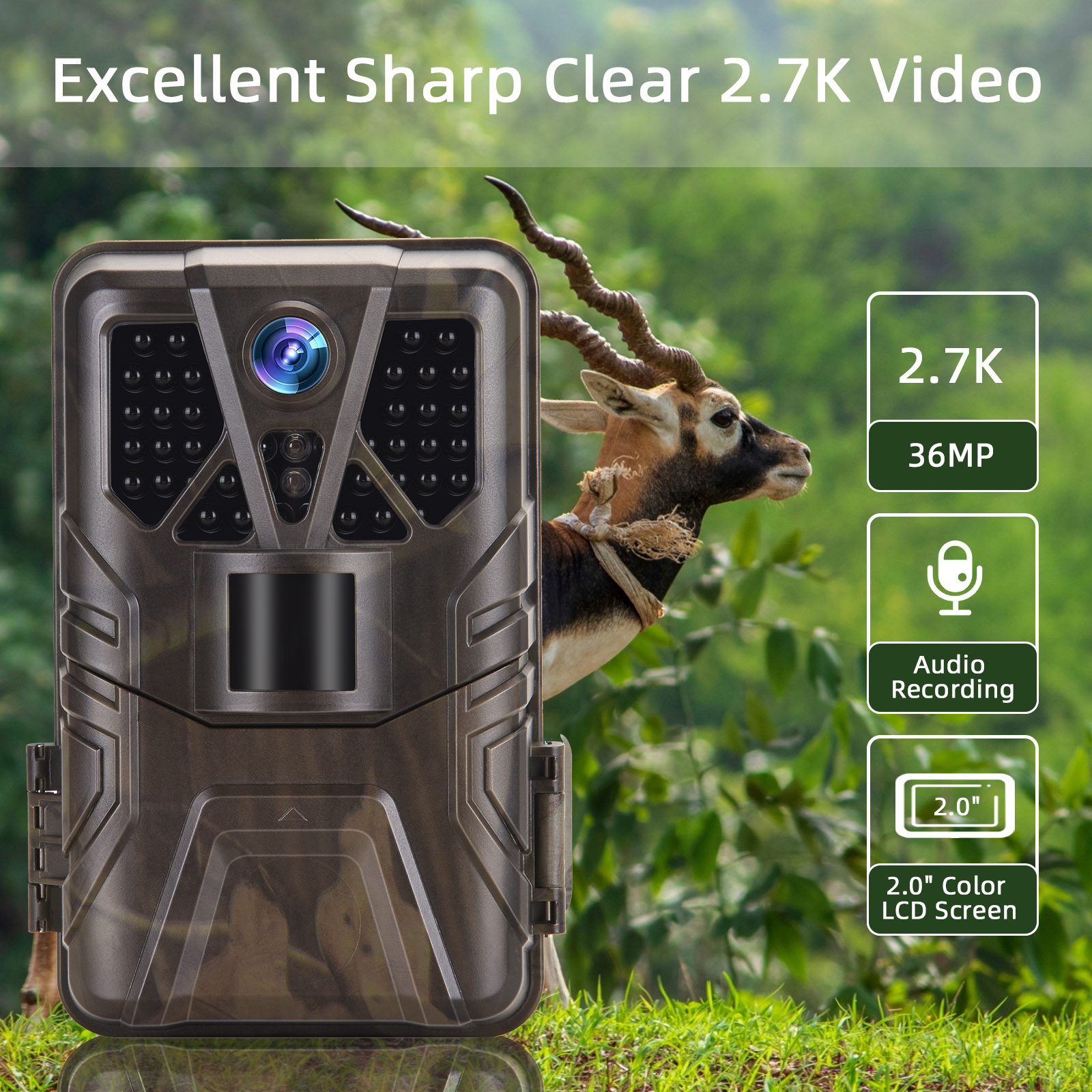Wildlife Trail Camera 36MP 2.7 - Photography Term บทวิจารณ์และราคา