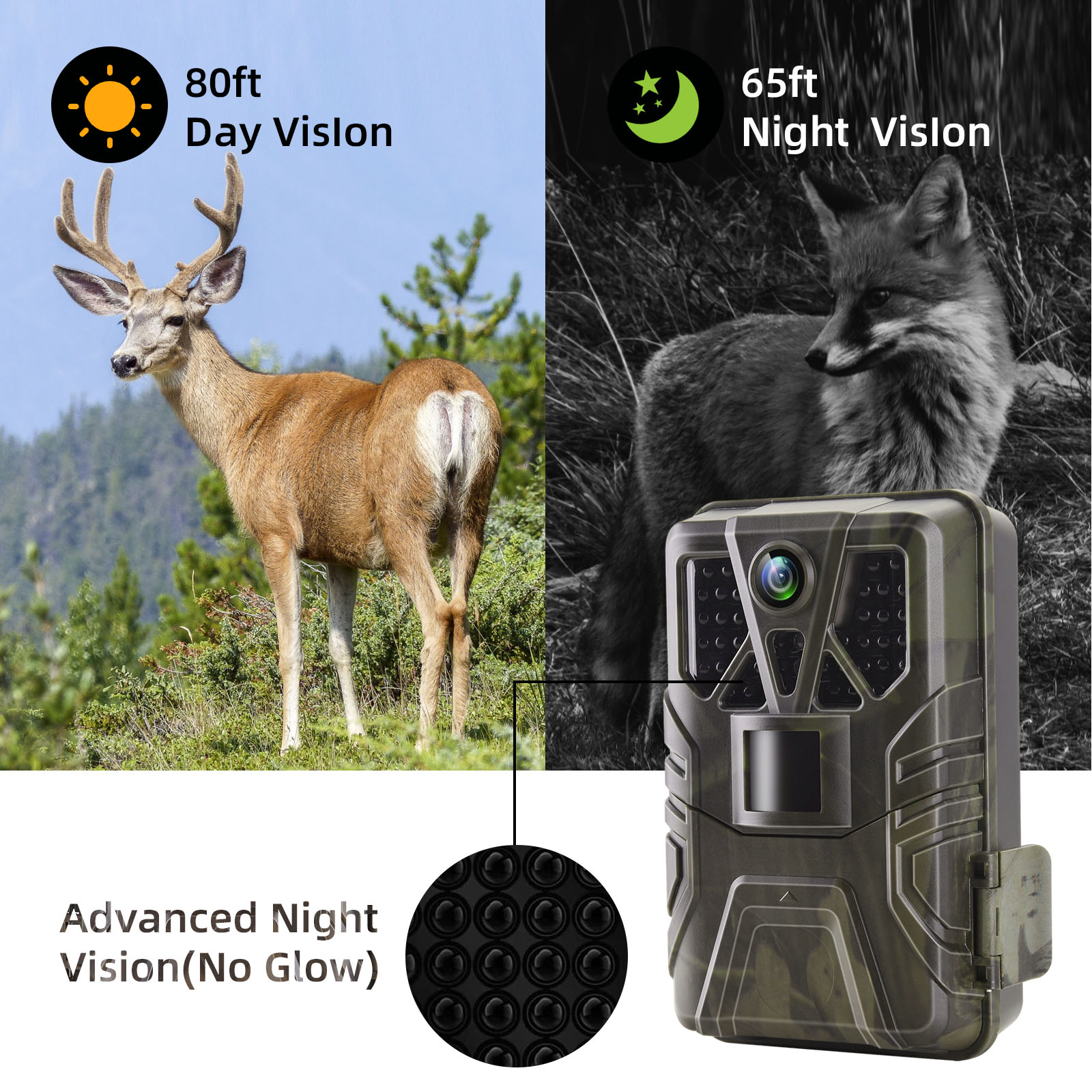 Wildlife Trail Camera 36MP 2.7 - Photography Term บทวิจารณ์และราคา