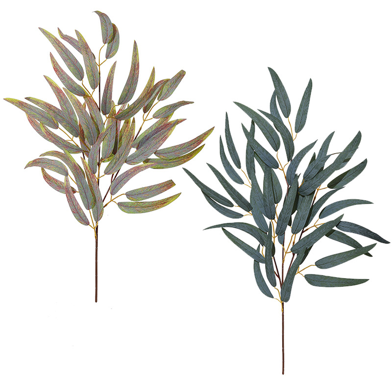 2pc 54cm 3 Fork Eucalyptus Lea - Photography Wedding บทวิจารณ์และราคา