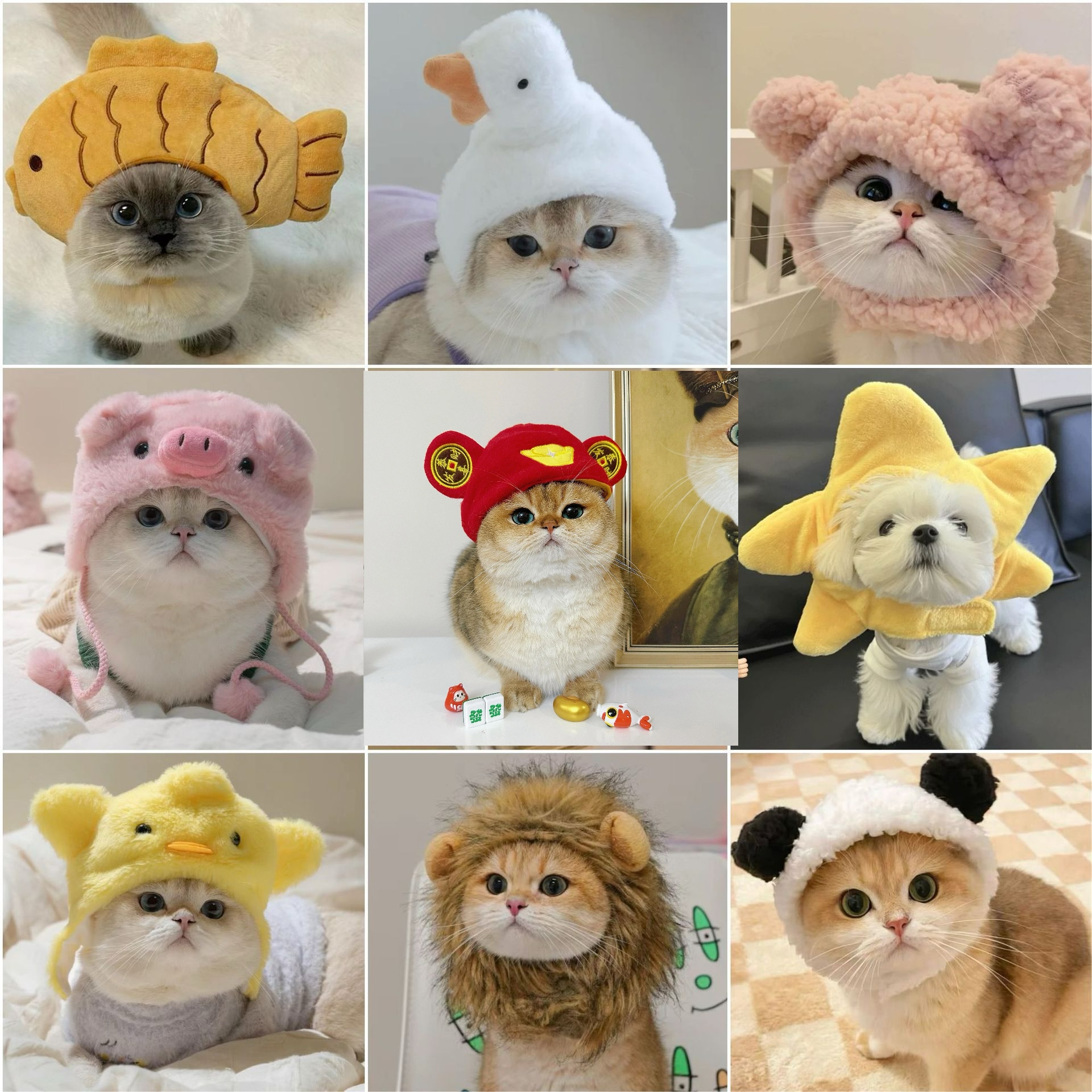 1pcs Interesting pet headwear  - Photography Interest บทวิจารณ์และราคา