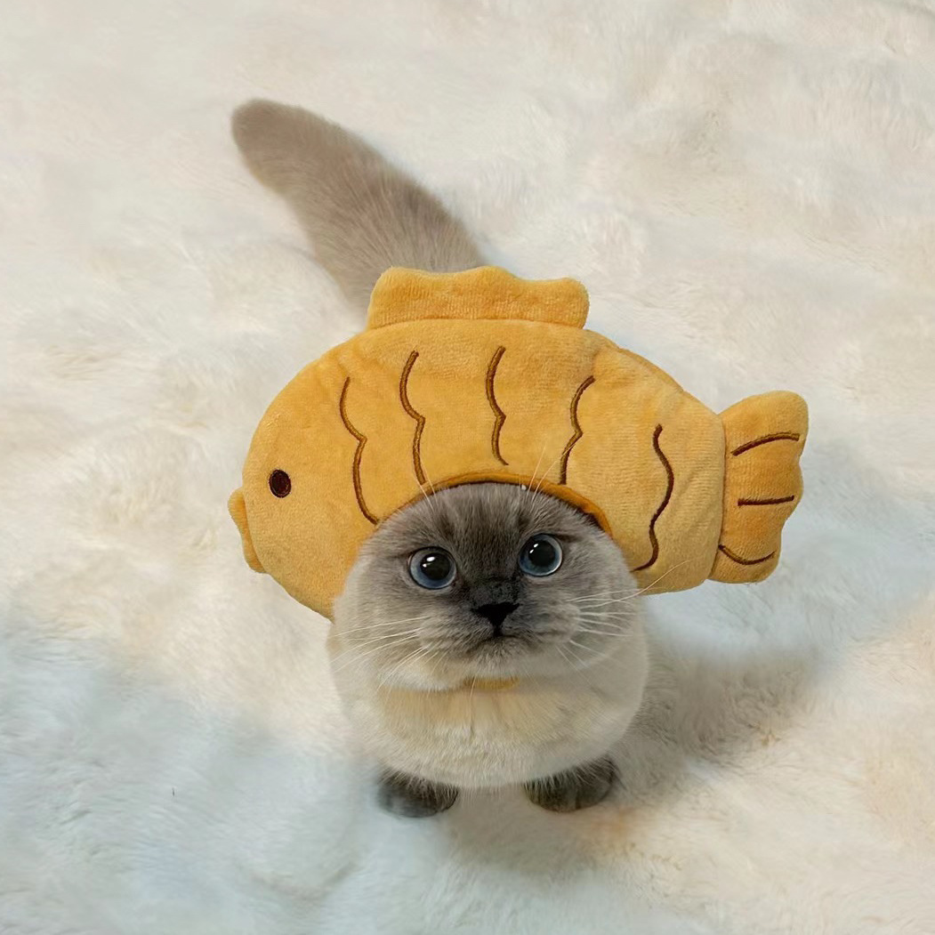 1pcs Interesting pet headwear  - Photography Interest บทวิจารณ์และราคา