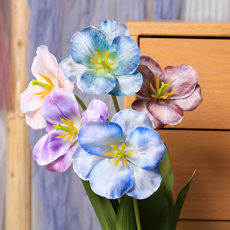 5pc 54cm Flip Tulip Gradient M - Photography Wedding บทวิจารณ์และราคา