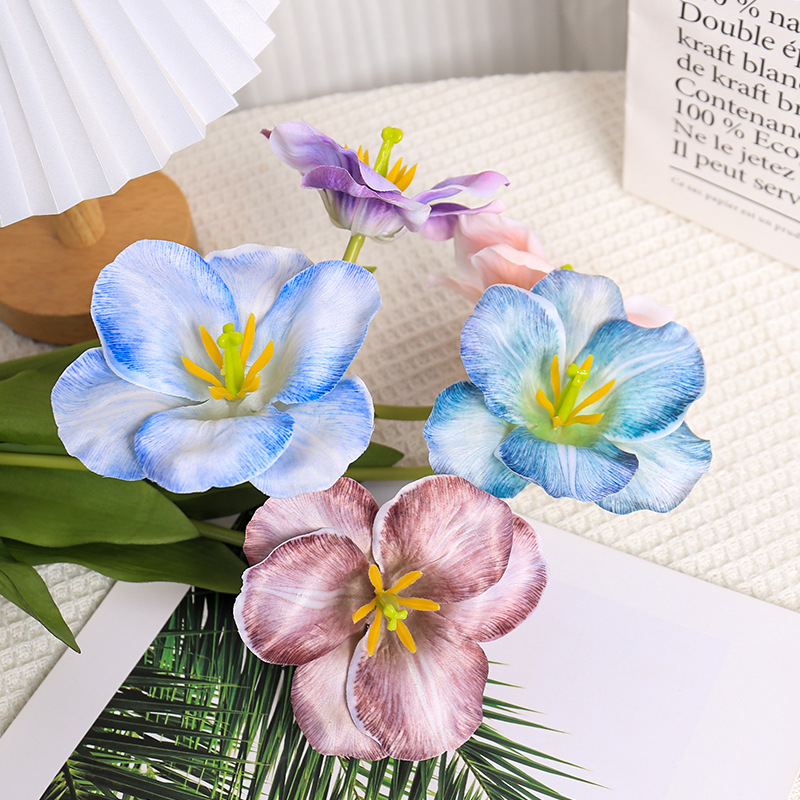 5pc 54cm Flip Tulip Gradient M - Photography Wedding บทวิจารณ์และราคา