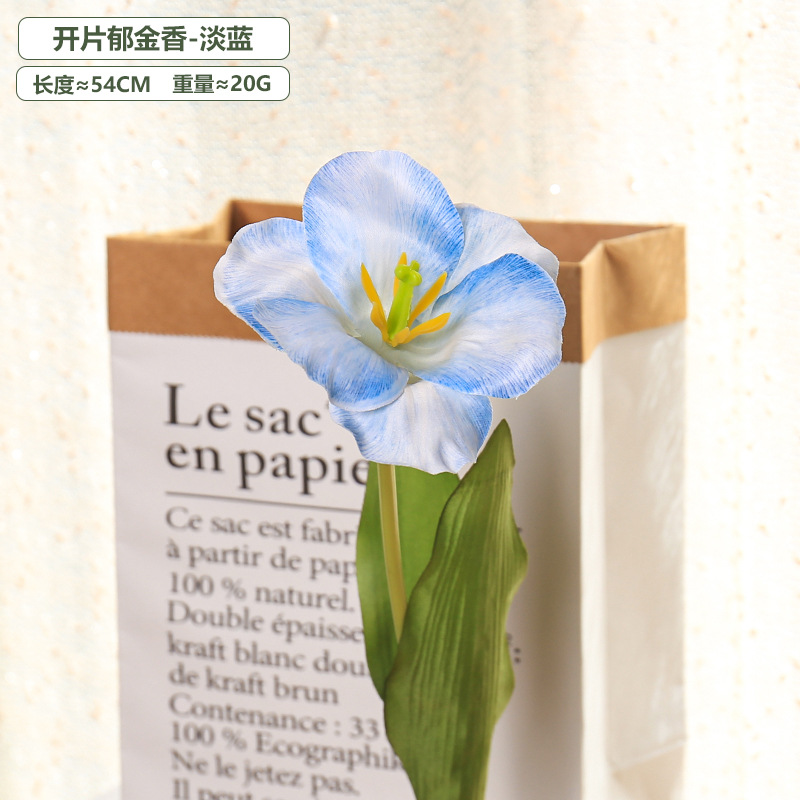 5pc 54cm Flip Tulip Gradient M - Photography Wedding บทวิจารณ์และราคา