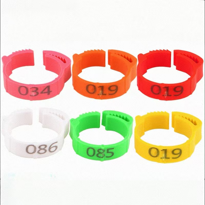 100pcs Chicken Foot Ring Label - Photography Duck บทวิจารณ์และราคา