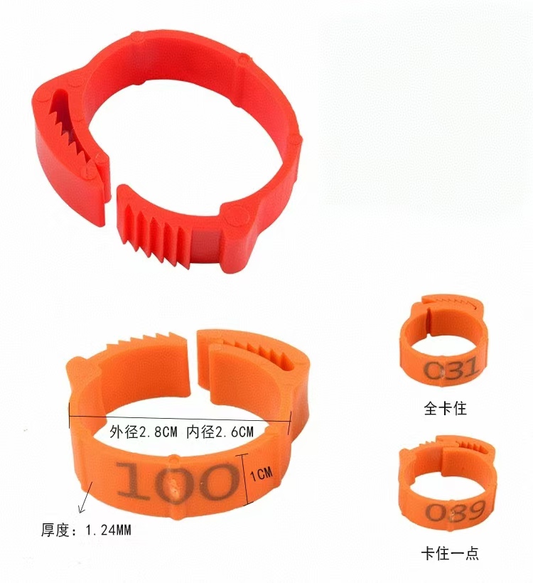 100pcs Chicken Foot Ring Label - Photography Duck บทวิจารณ์และราคา