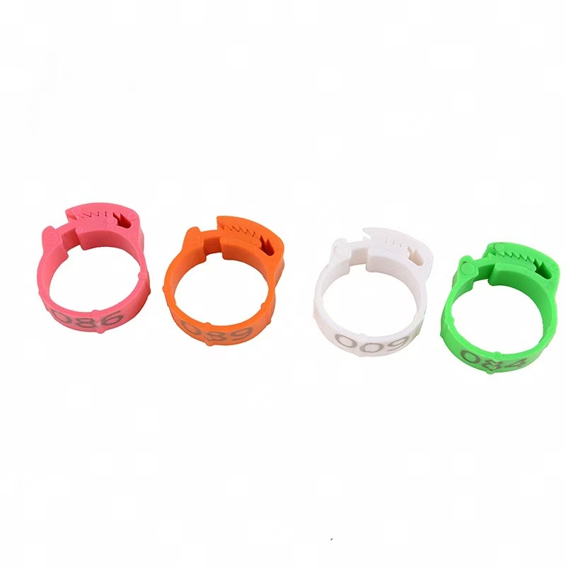 100pcs Chicken Foot Ring Label - Photography Duck บทวิจารณ์และราคา