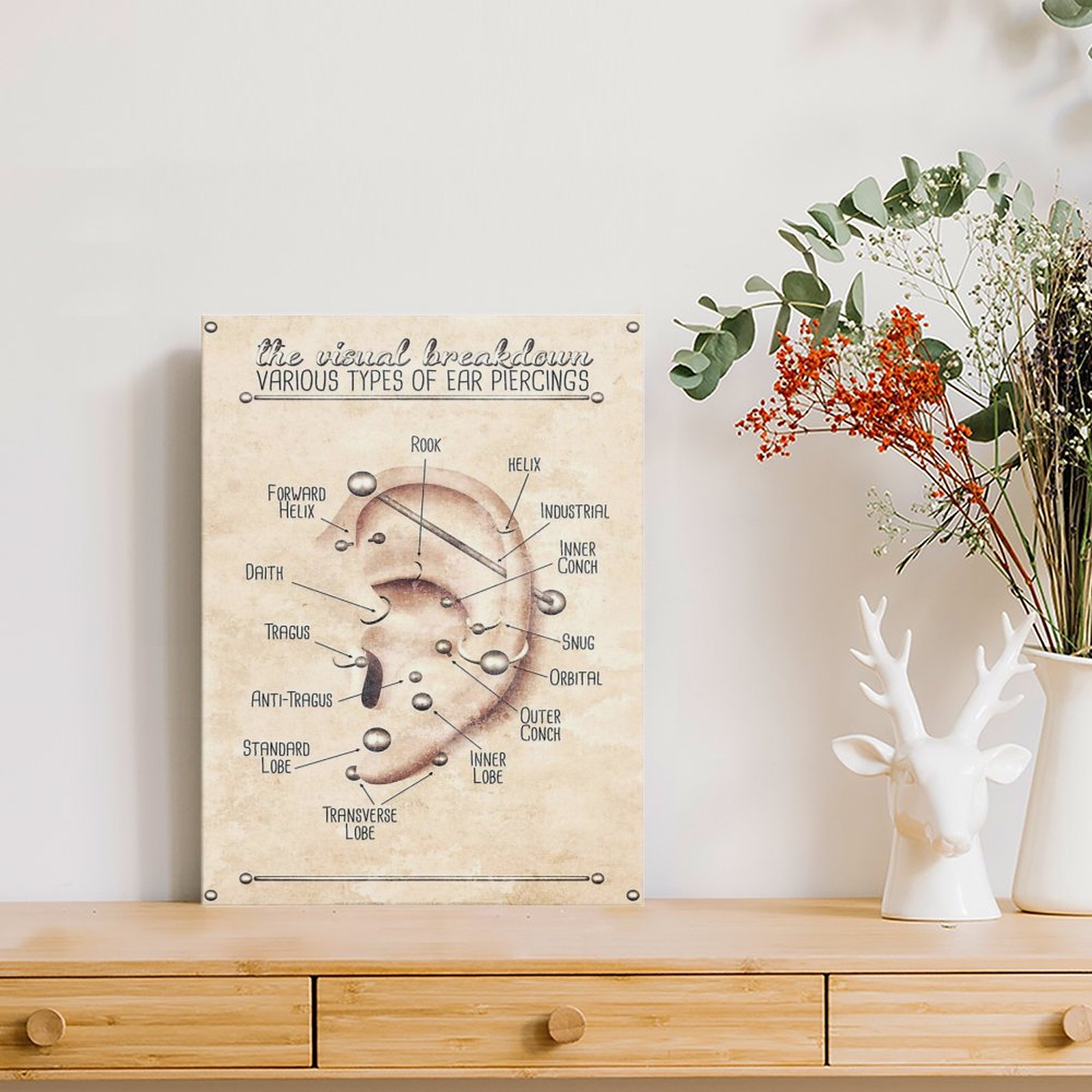 Ear Piercing Infographic Chart - Photography Pose บทวิจารณ์และราคา
